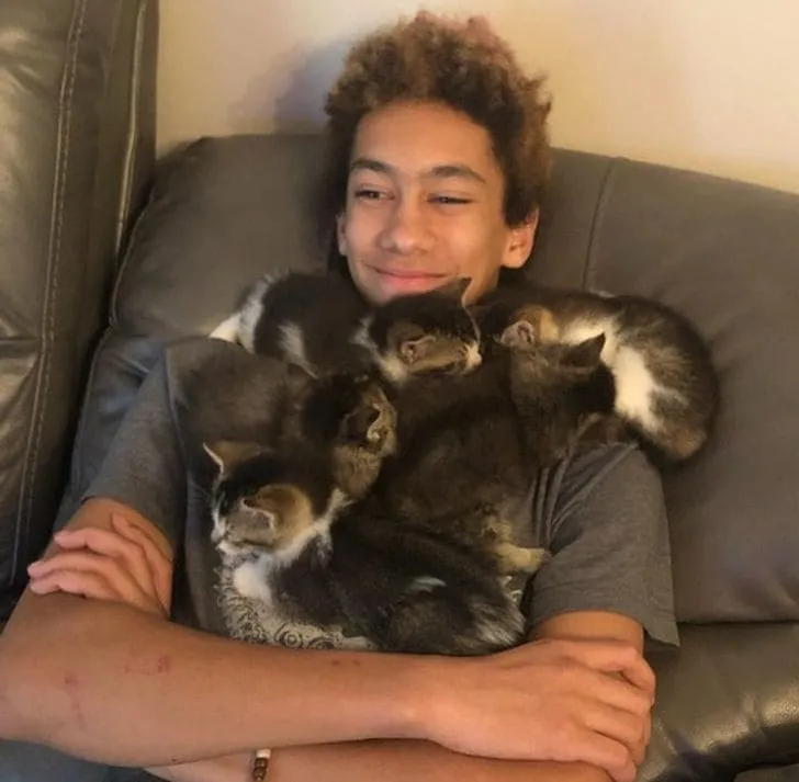 «Мое довольное лицо, когда на мне заснула толпа котят».