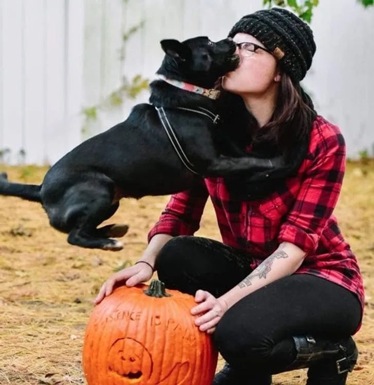 «Я притворилась, что чихаю, чтобы привлечь внимание моей собаки. Слишком хорошо сработало».