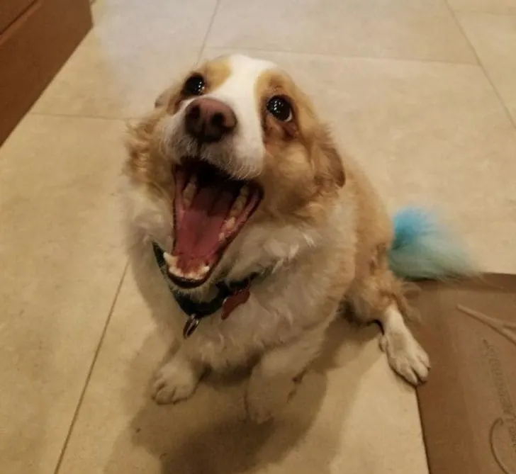 «Его мордаха, когда я сказал, что мы будем кататься на машине».