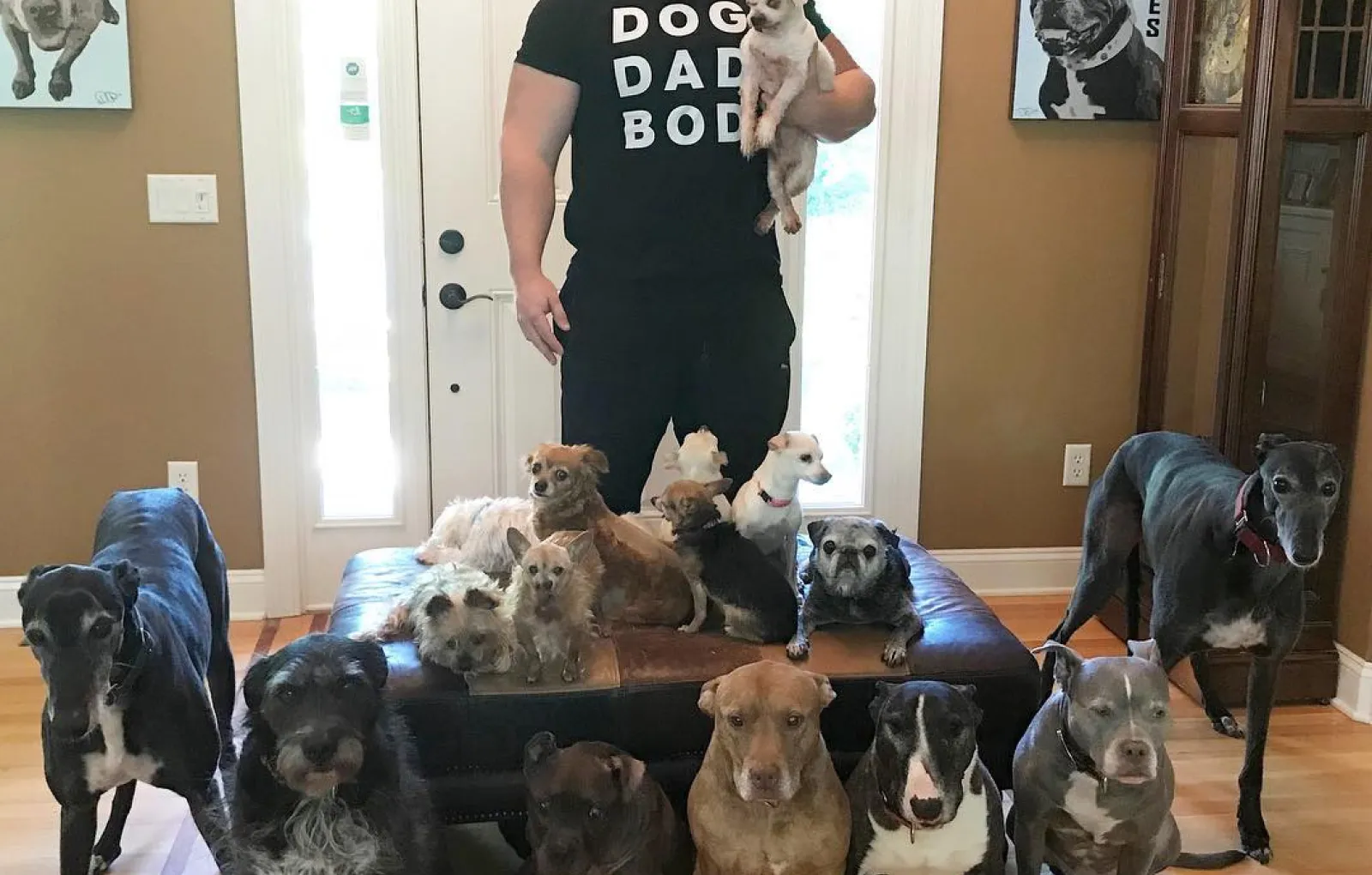 В приюте Криса и Марисы живет 20 пожилых собак.