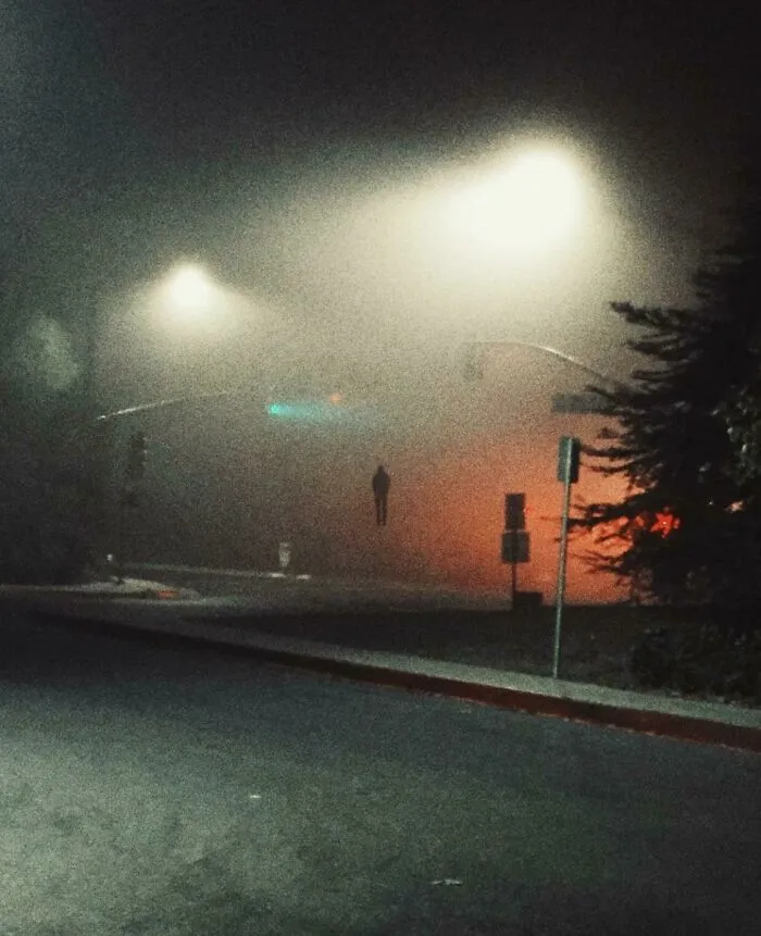 «Бегите, глупцы».