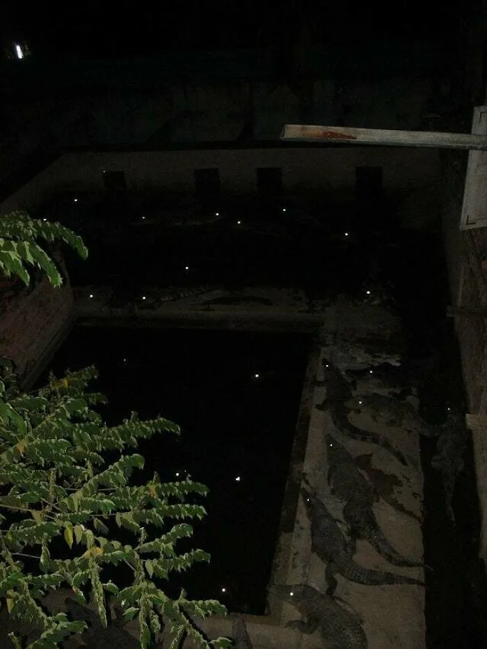 «Человек, выходи гулять».