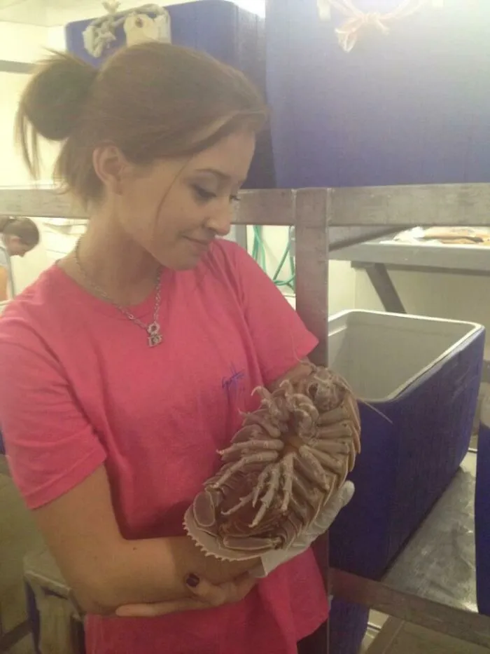 Инсектофобы вышли из чата.