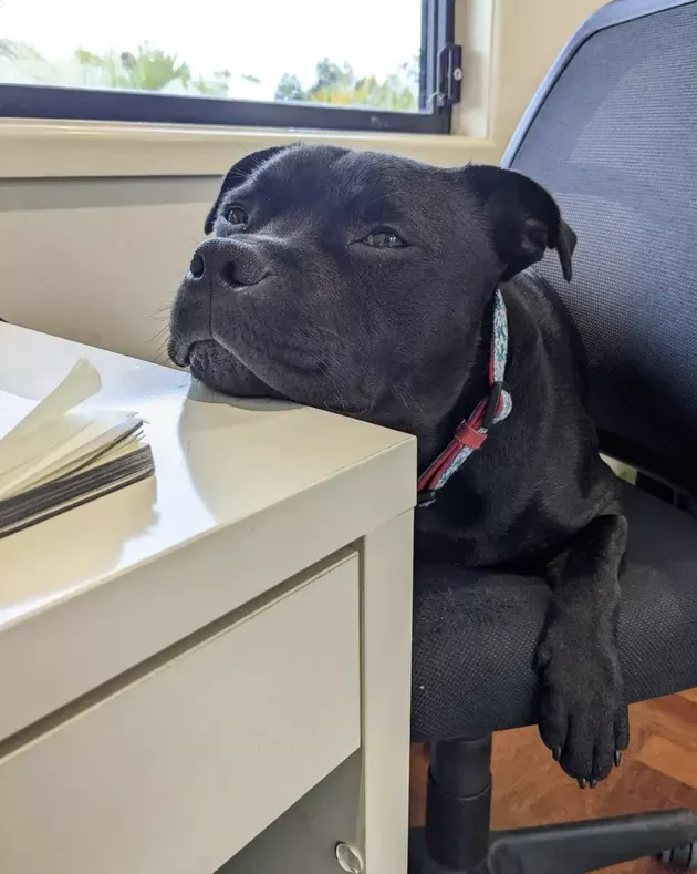 «Мечтаю о том, чтобы быстро вздремнуть».