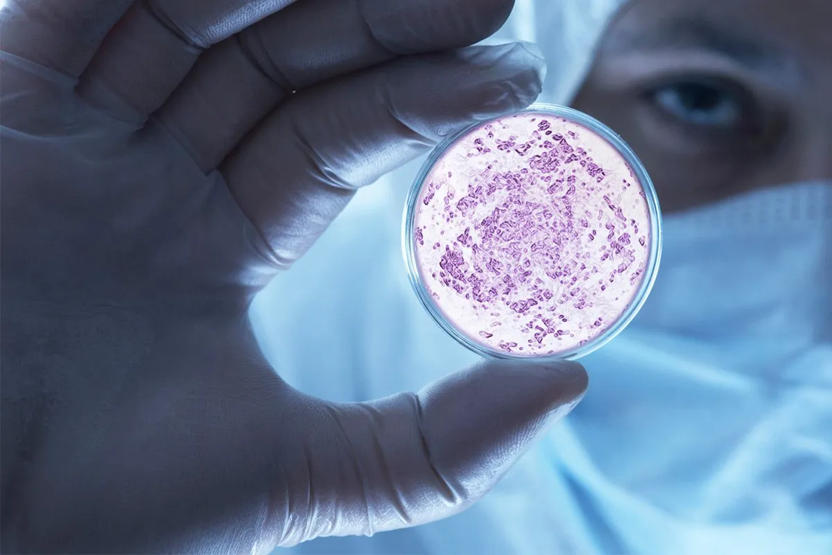 Исследование