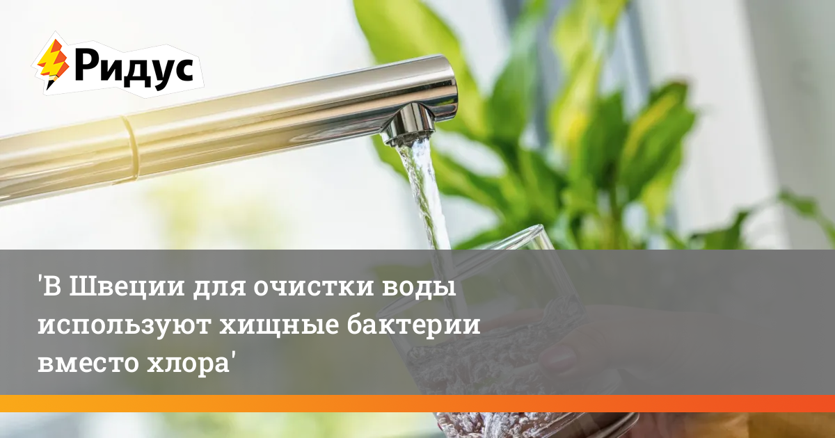 В Швеции для очистки воды используют хищные бактерии вместо хлора