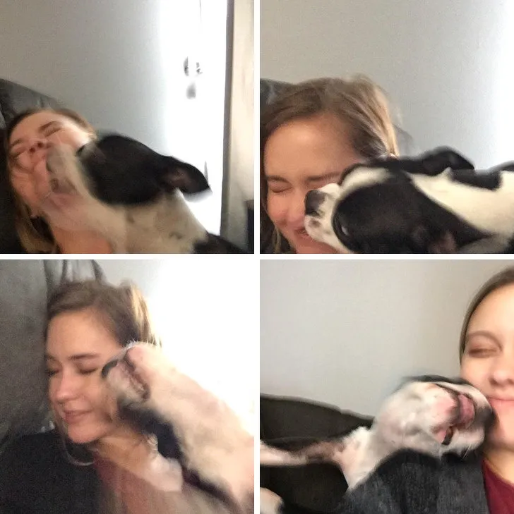 «Когда хочешь сделать милое фото со своим питомцем, а получаешь это».