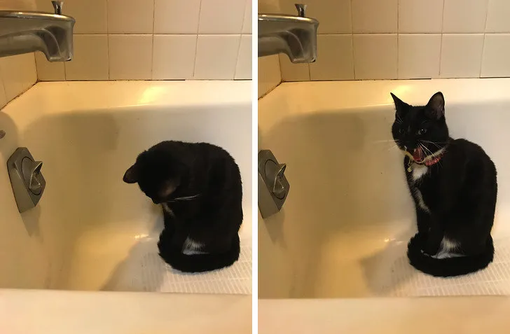 «Она кричала на капли воды в течение трех минут».