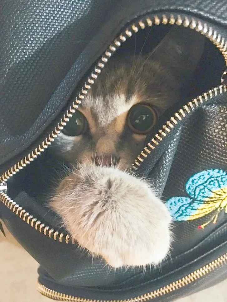 «Ты же возьмешь меня с собой на работу?»