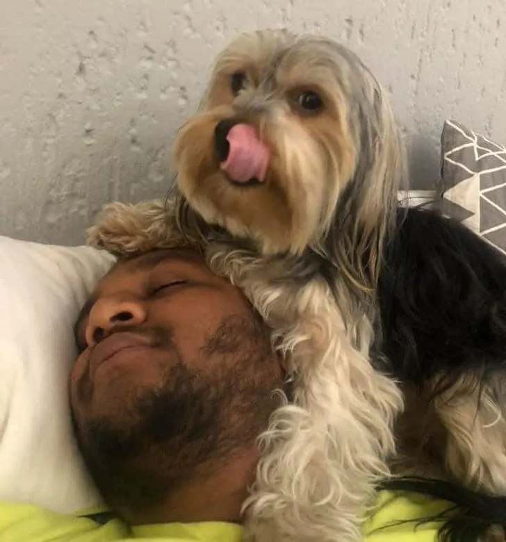  «Муж тогда: «Я не люблю домашних животных. Он должен спать на улице». Муж сейчас: Позволяет пёсику спать на его голове». 