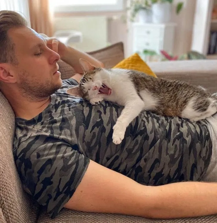 «Мой муж с котом, которого он не хотел».