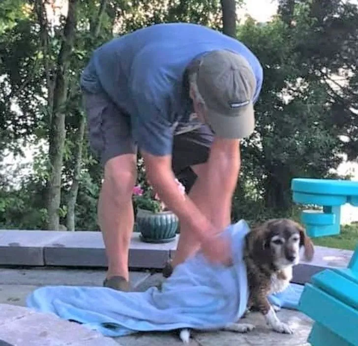 «11 лет назад папа не хотел собаку, но сейчас он заботливо вытирает нашу пожилую собачку полотенцем после того, как она поплавает в бассейне».