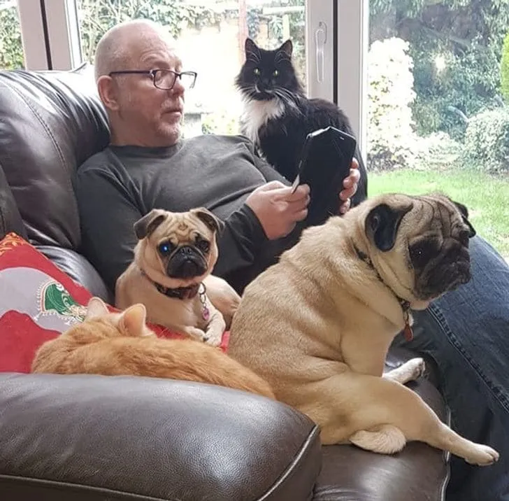 «Человек, утверждающий, что не любит животных».