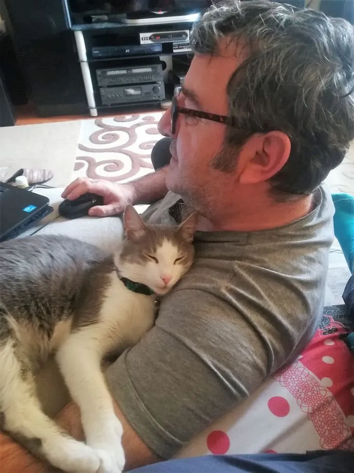 «Типичный супруг, ненавидящий кошек».