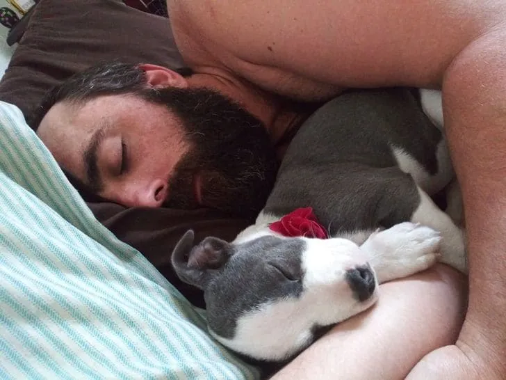 «Когда-то он не хотел домашних животных, а сейчас у нас четыре собаки».