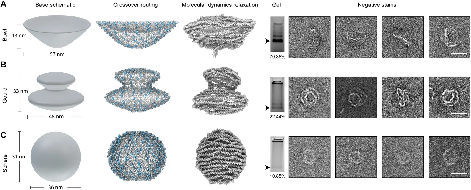 Программа способна создавать из ДНК очень сложные формы.