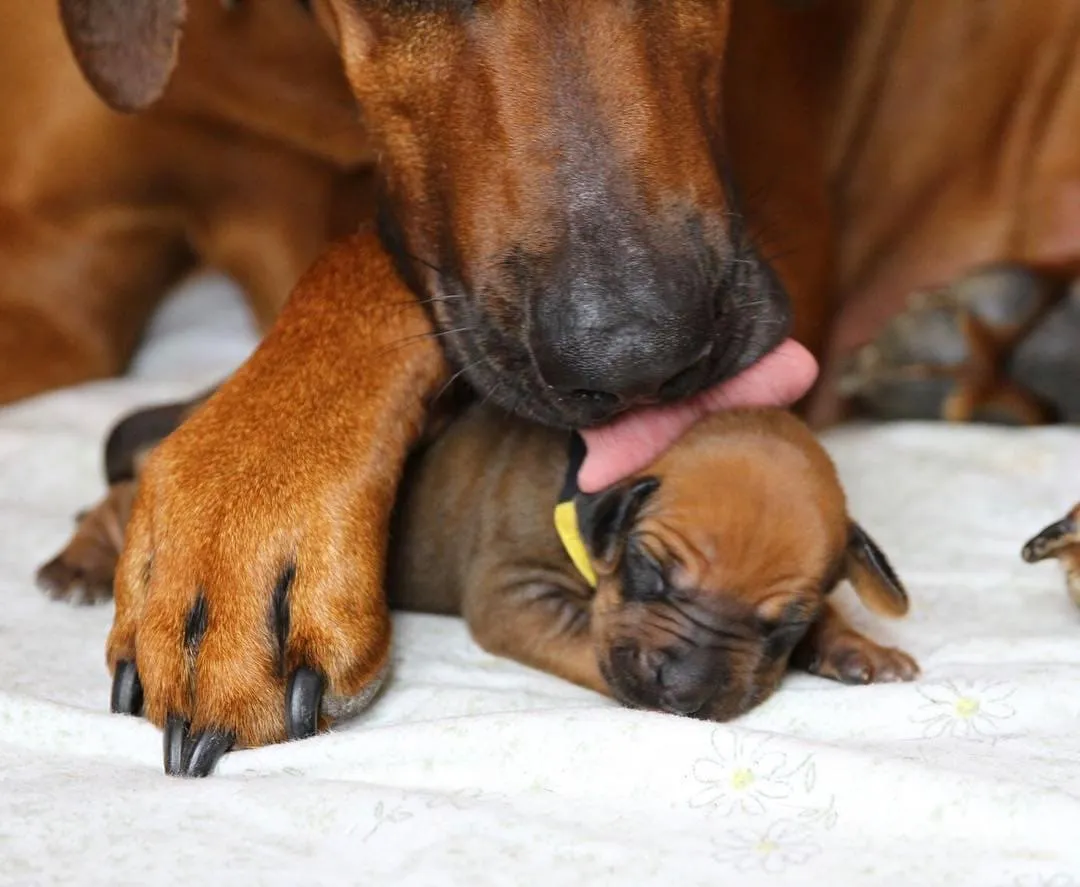 Обязательный утренний уход.