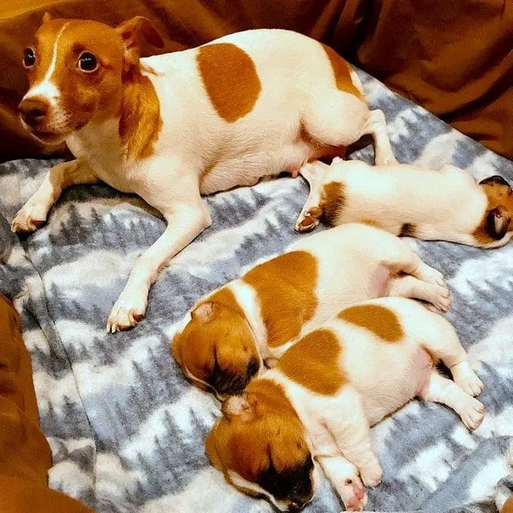 «Она только что поняла, что стала мамой».