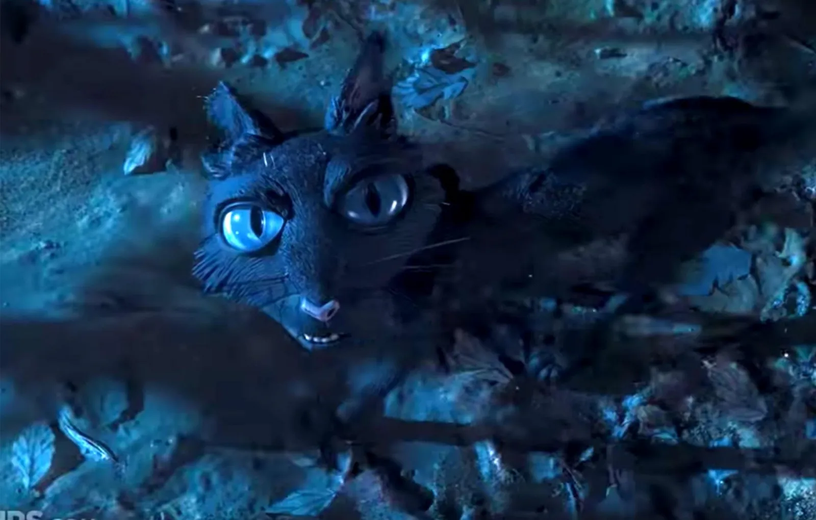 Кот из «Каролины в стране кошмаров»