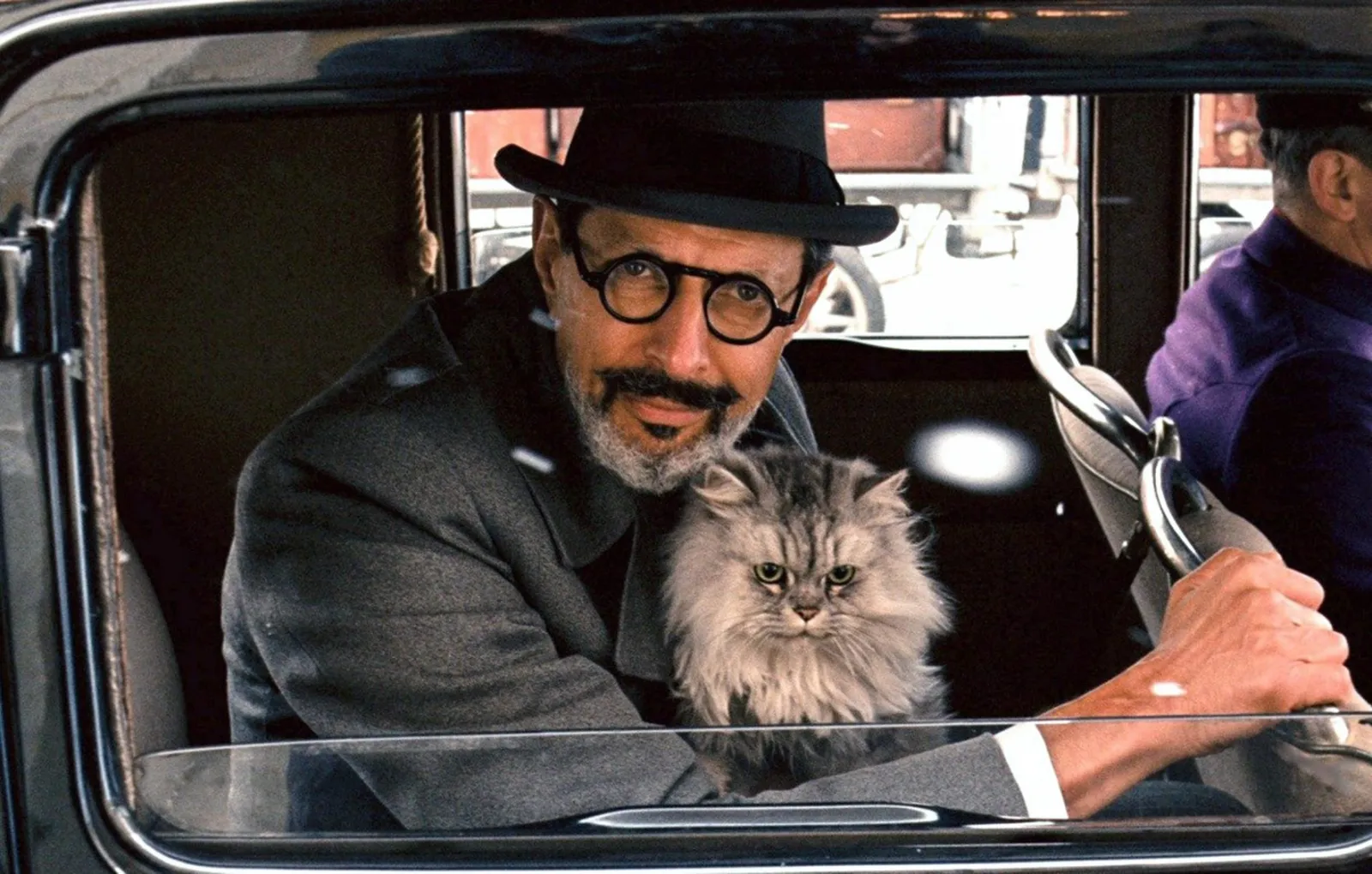 Кот Ковача «Гранд Будапешт»