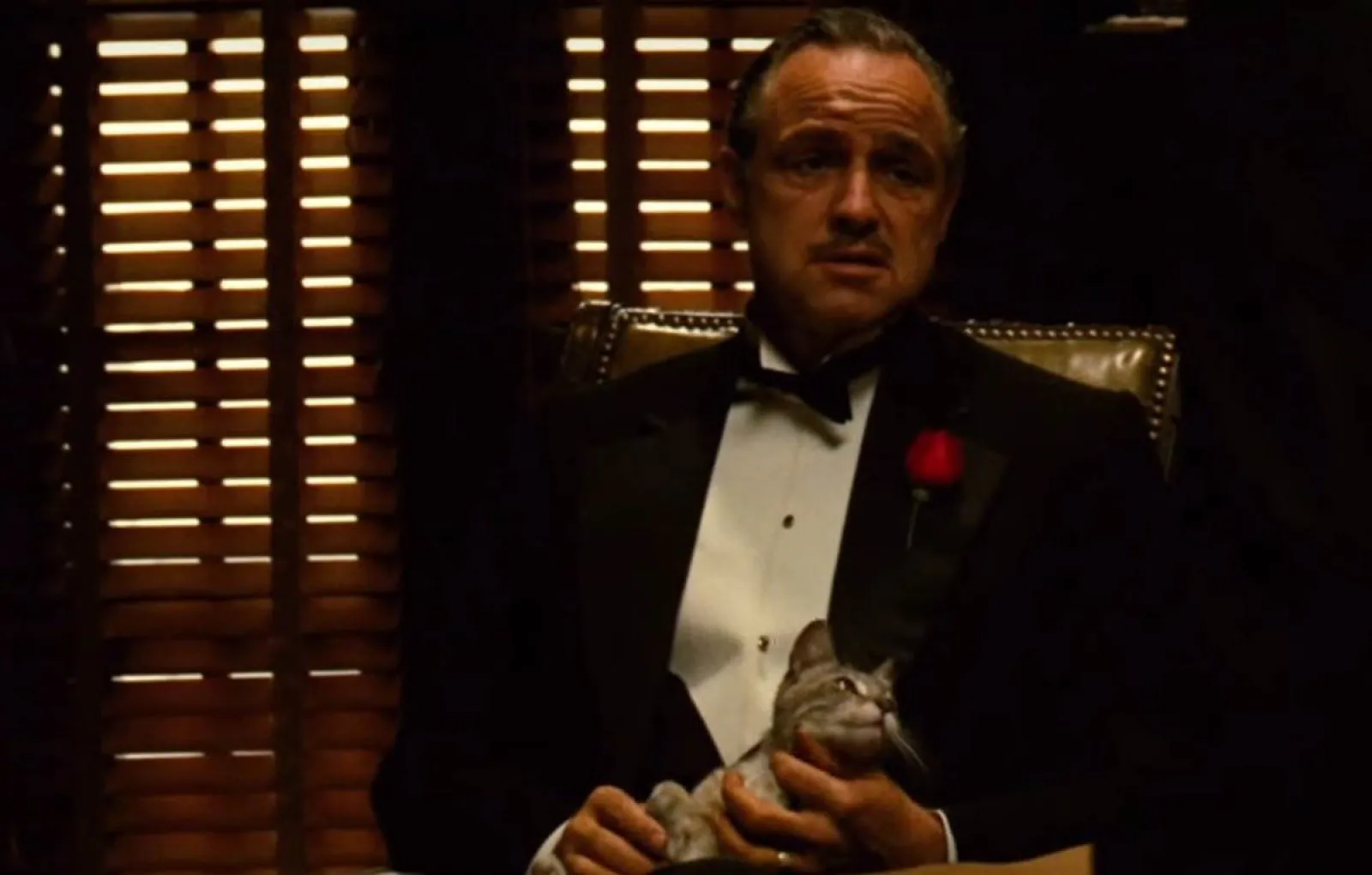 Кот Вито «Крёстный отец»