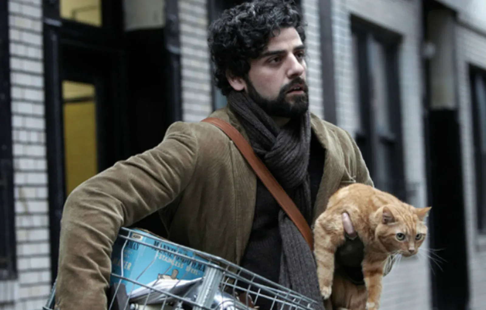 Рыжий кот из «Внутри Льюина Дэвиса»