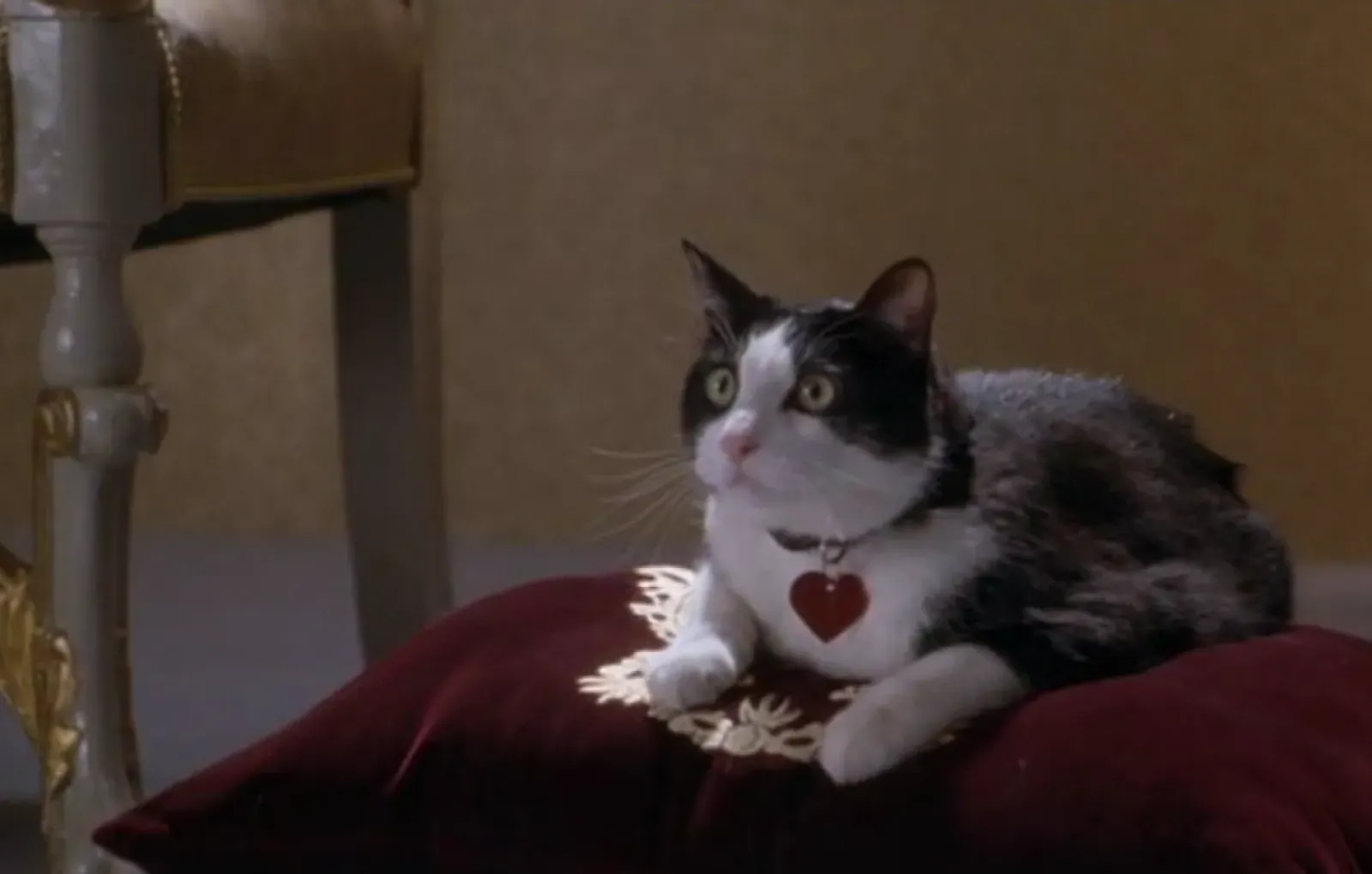 Толстяк Луи «Дневники принцессы»