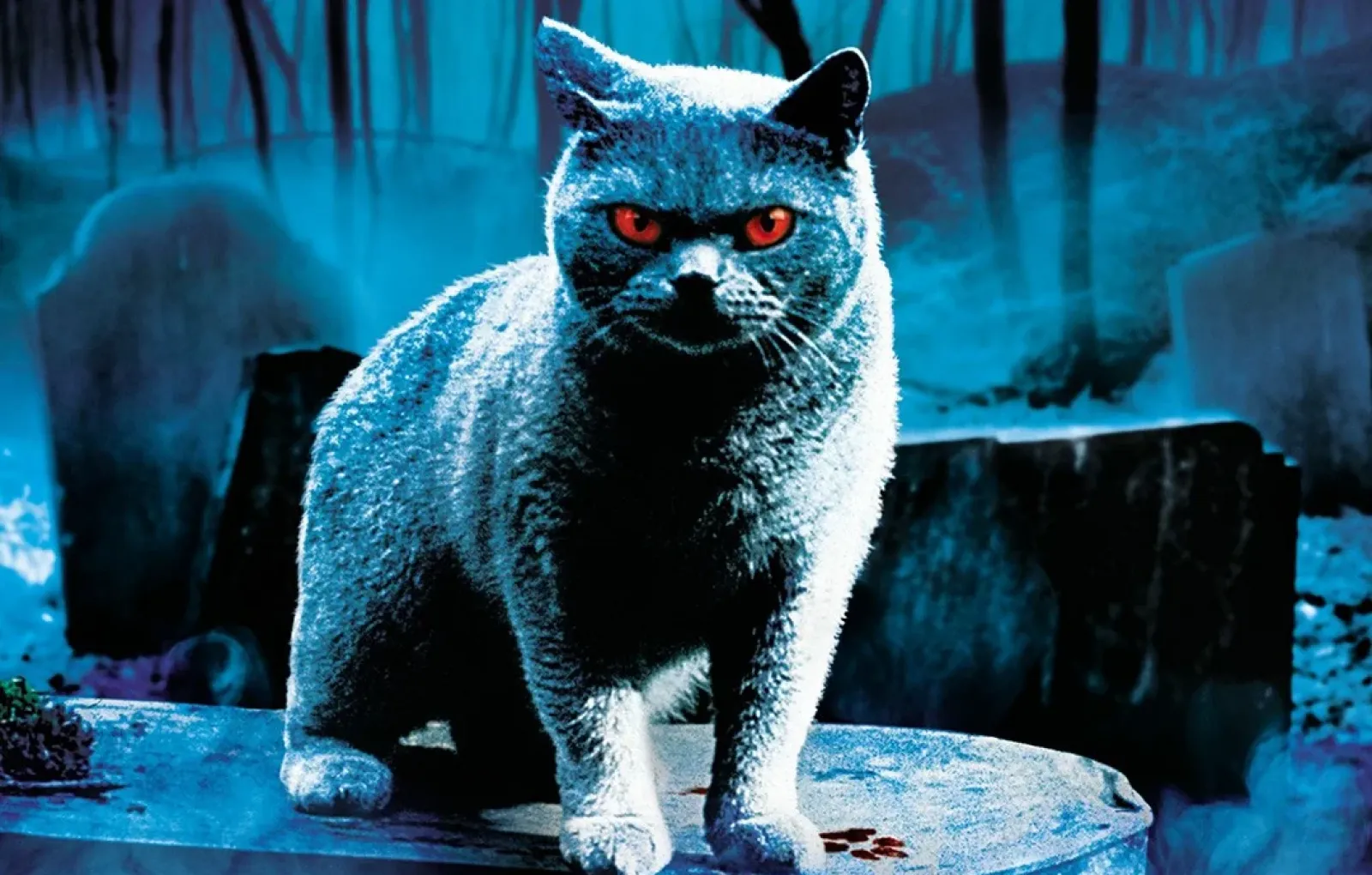 Черч «Кладбище домашних животных»