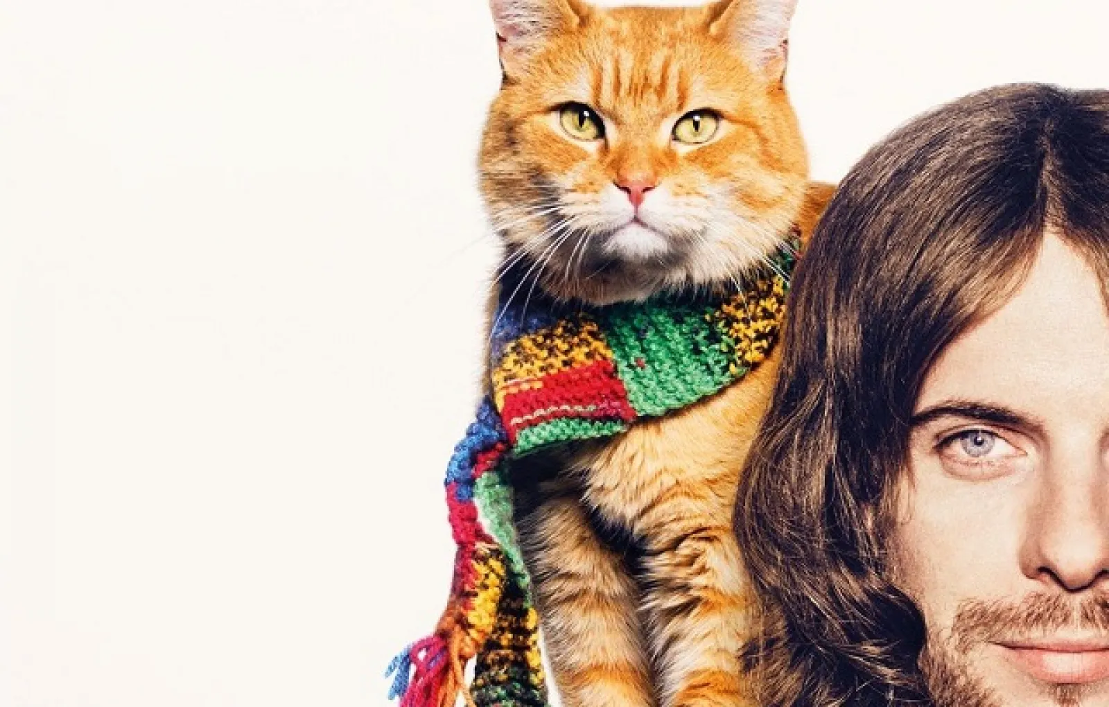 Боб «Уличный кот по кличке Боб»