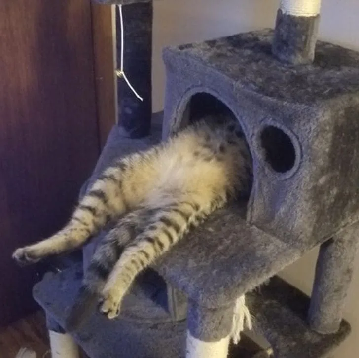 Ну да, так тоже можно. 