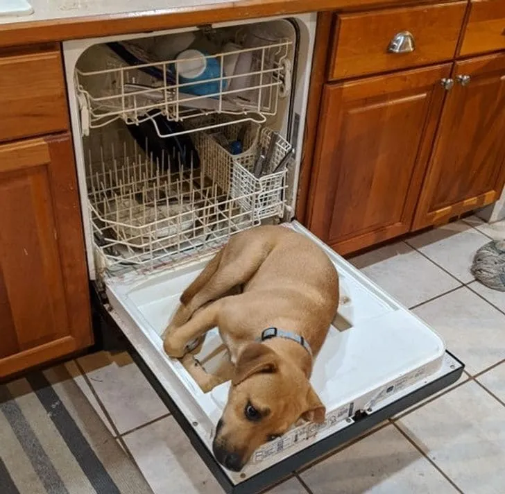 Лучшее место для отдыха. 