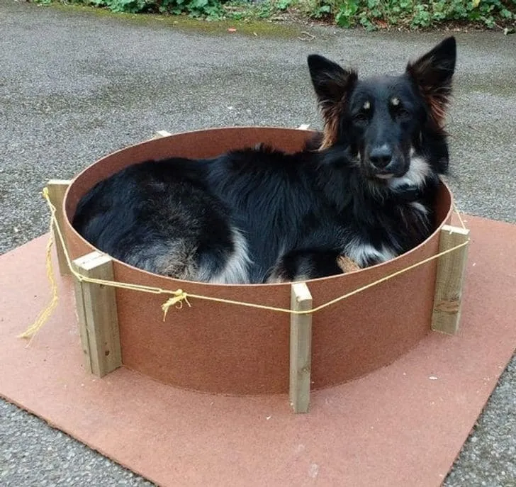 «Отвернулся на 20 секунд, а он уже лежит в форме для бетона».