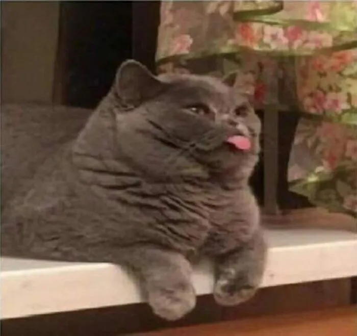 «Спасибо за твой разговор о диете».