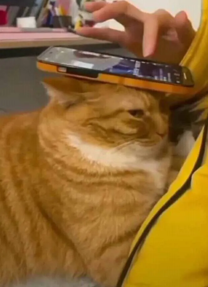 «Подставка для телефона».