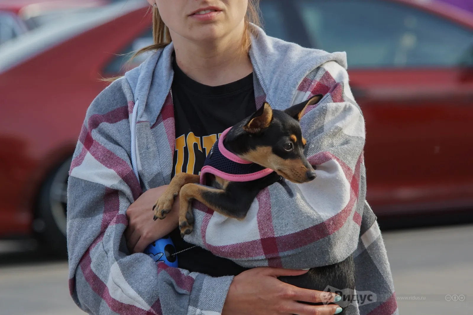 TuningShow-2024, и такие...  