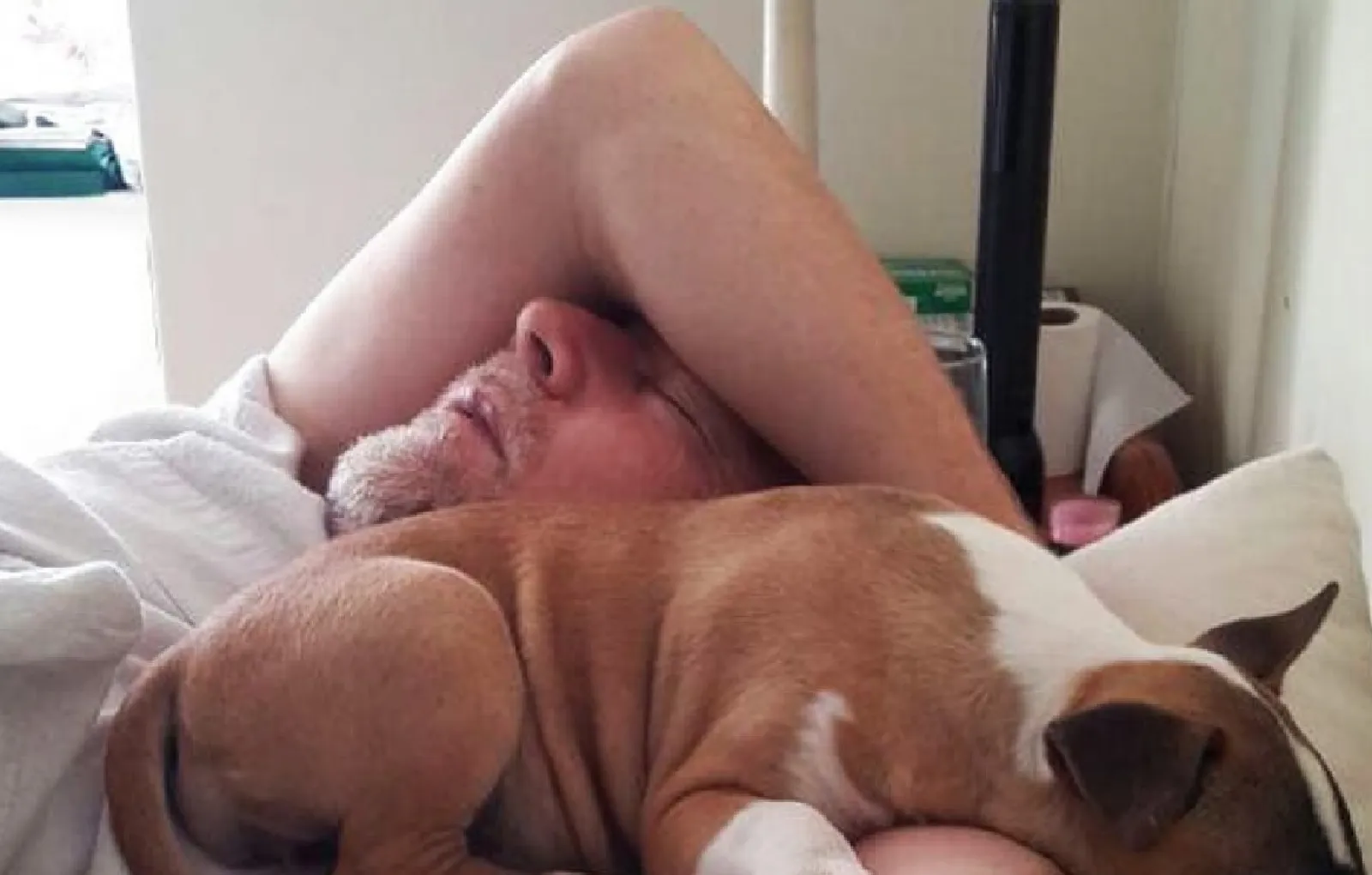  «Когда-то мой папа говорил: «Я никогда не пущу собаку в мою машину или на мою кровать».