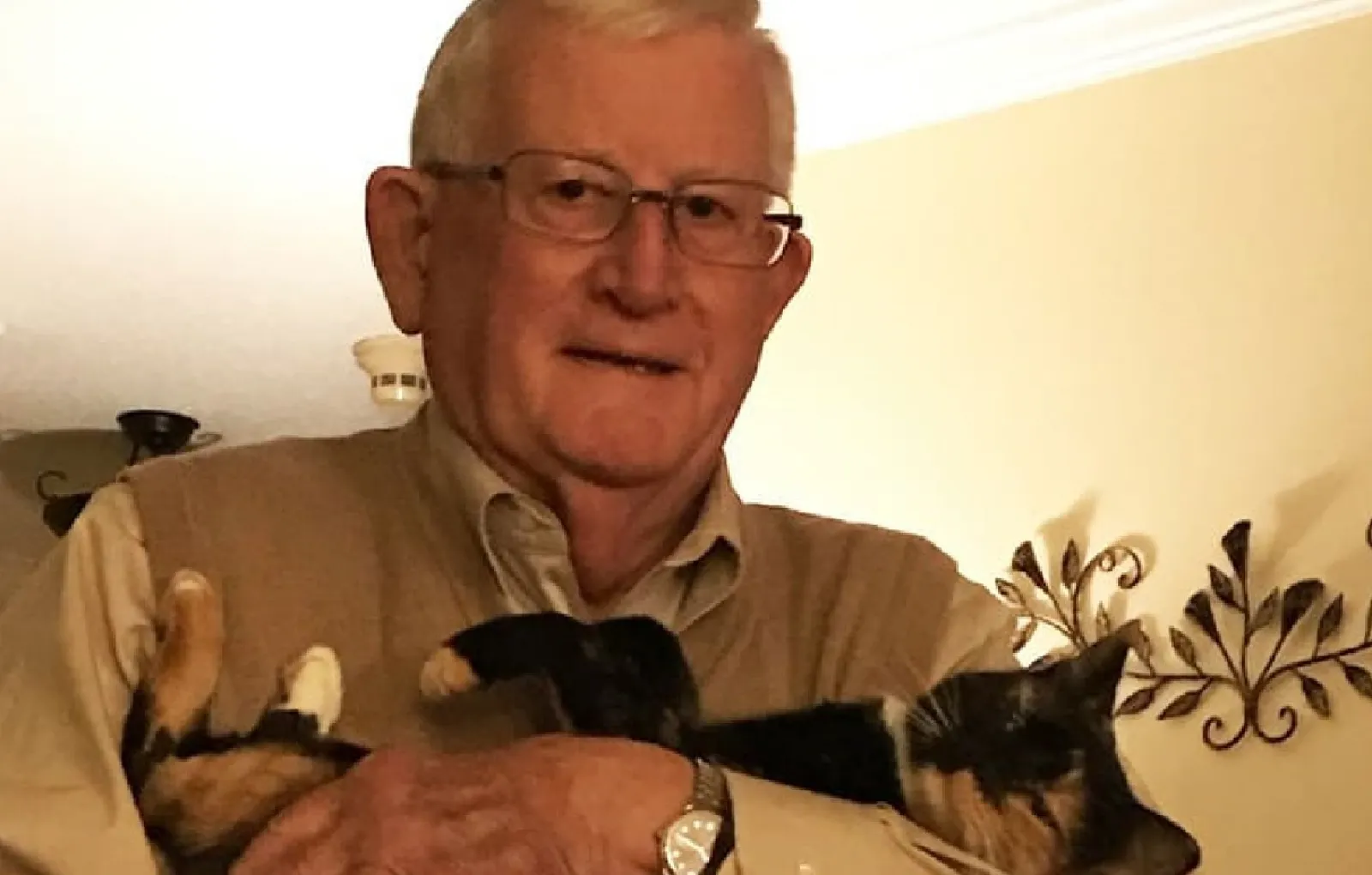 «Мой 79-летний папа быстро перешел от «я не хочу эту кошку» к тому, чтобы каждую ночь относить ее в комнату, когда пора спать».