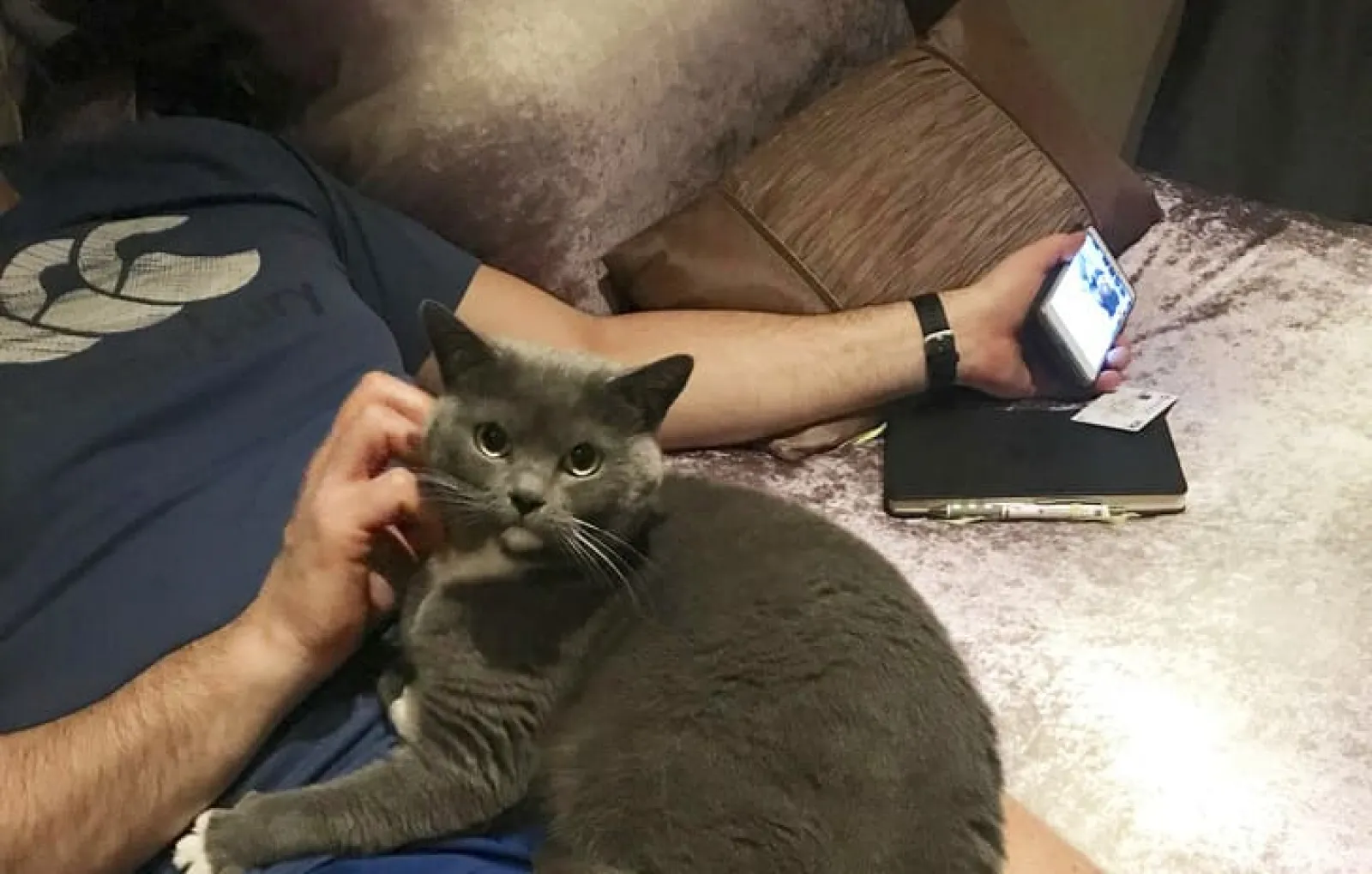 «Мой отец, который категорически „не хотел еще одну кошку“, позвонил мне из своей комнаты и попросил набрать ему ванну, потому что он слишком занят».