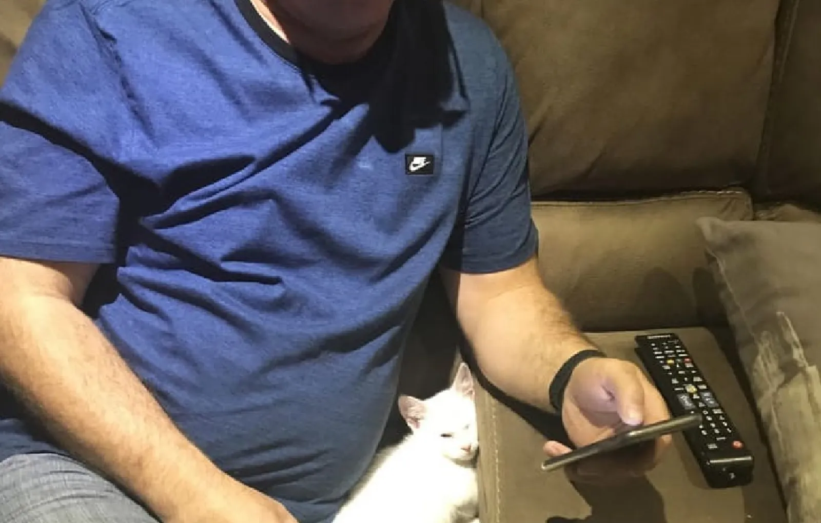 «Это мой отец, который якобы ненавидит кошек».