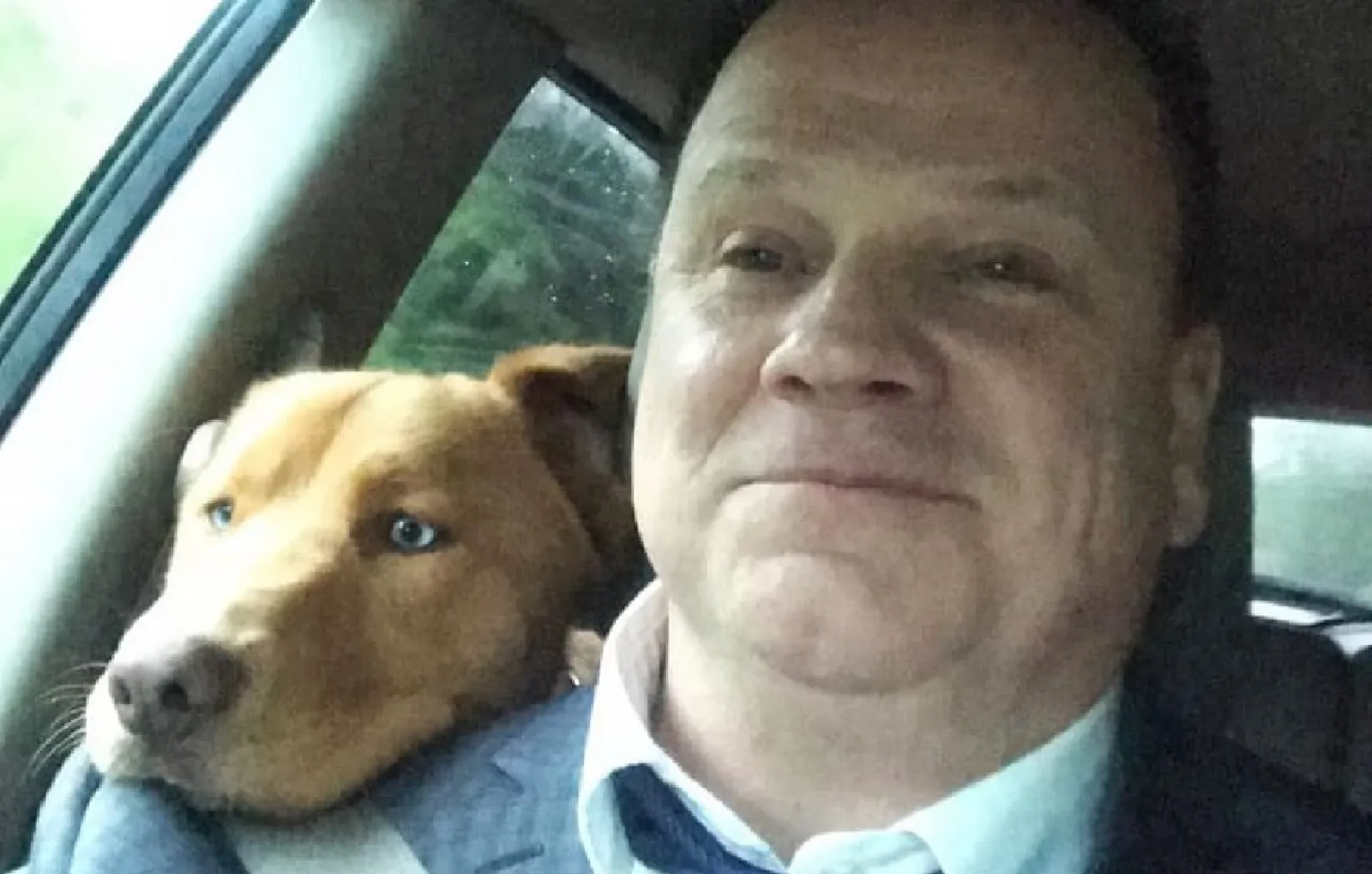 «Папа говорит, что он не собачник. Ну-ну».