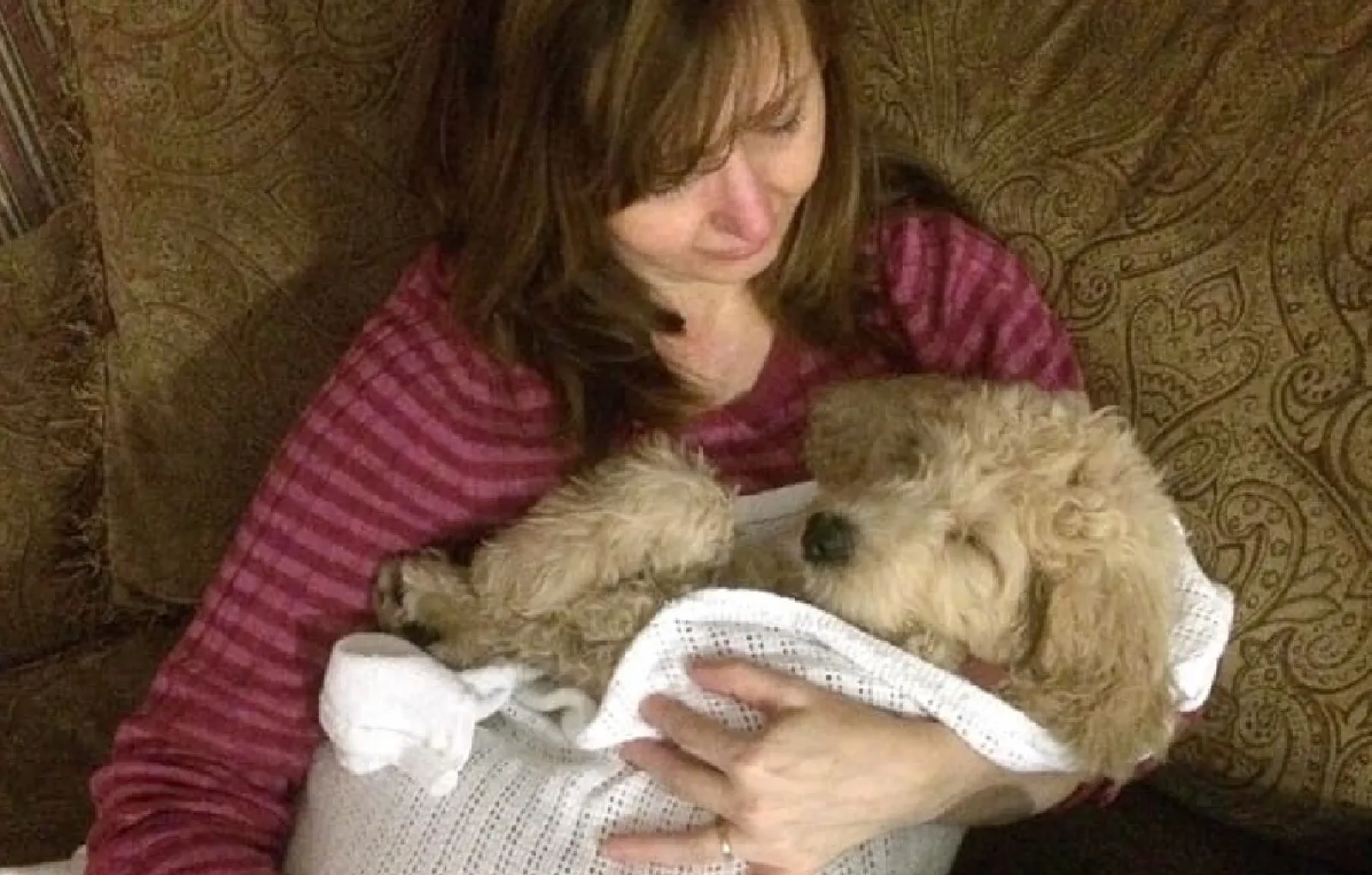 «„Мы никогда не заведем собаку“, — сказала мама два года назад».