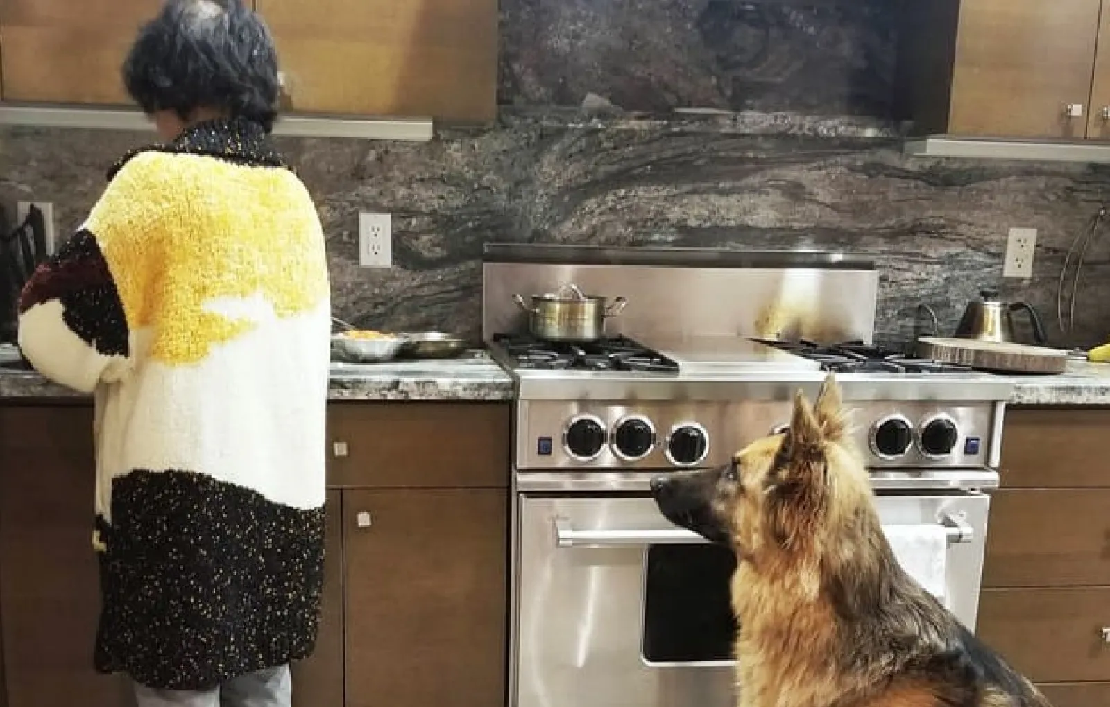 «Когда наш пес был щенком, мама отказывалась даже прикасаться к нему. Сейчас она каждый день готовит ему вкусняшки и чешет пузико».