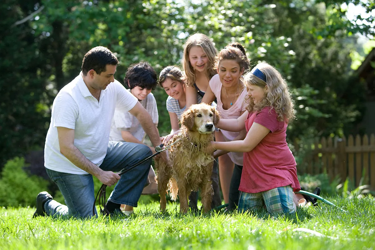 Многодетная семья