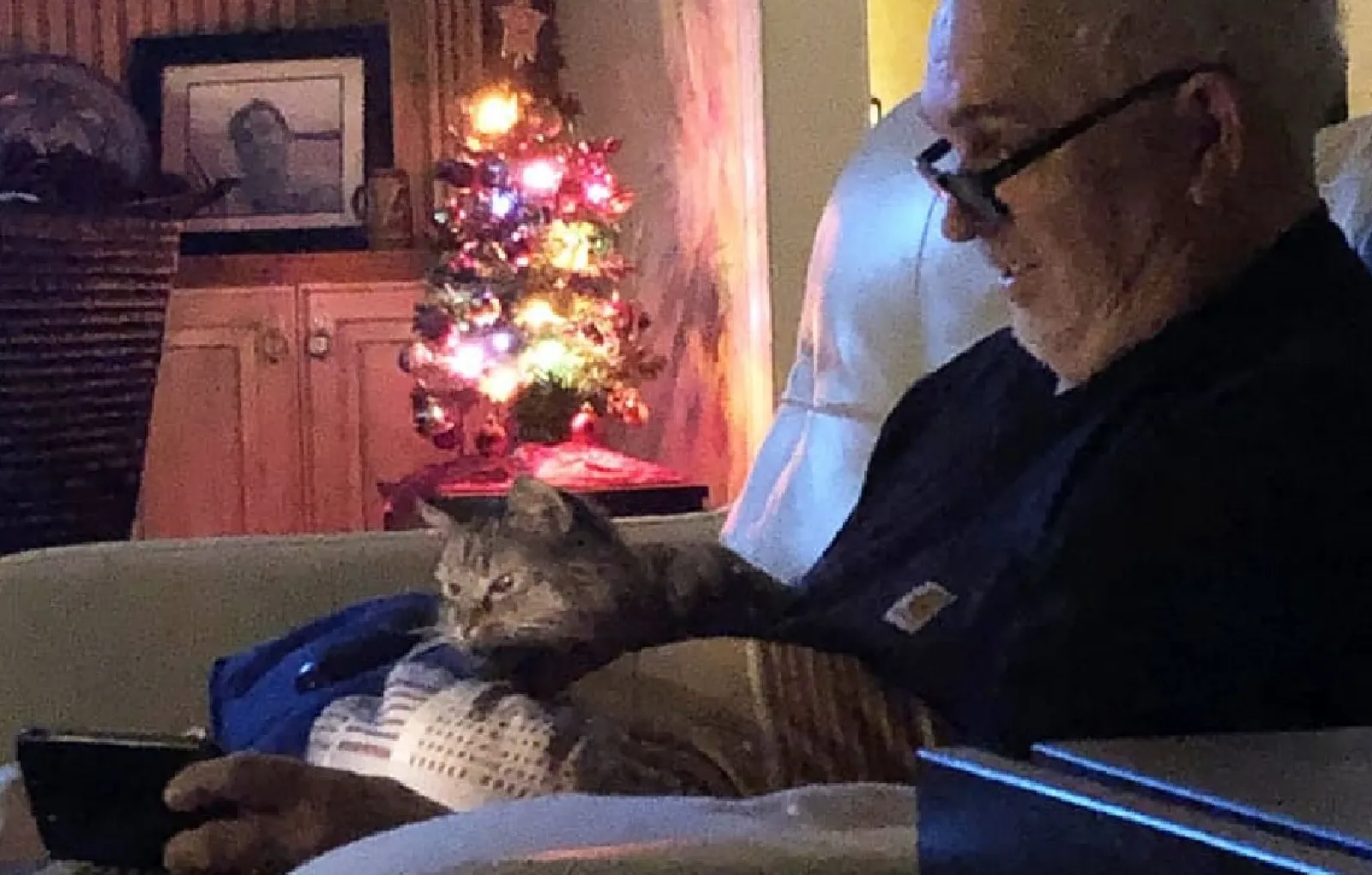 «Папа сильно злился, когда я принесла домой кошку. Что ж, взгляните на него теперь».