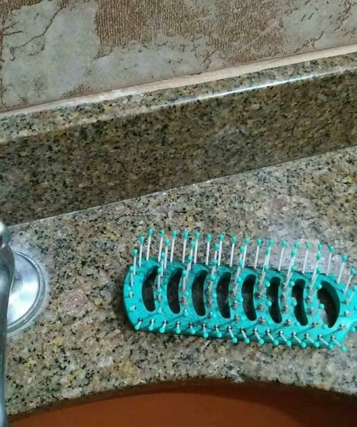 Найди ящерицу. Уровень: сумасшедший.