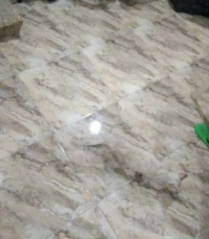 Найди кота. Уровень: лёгкий.