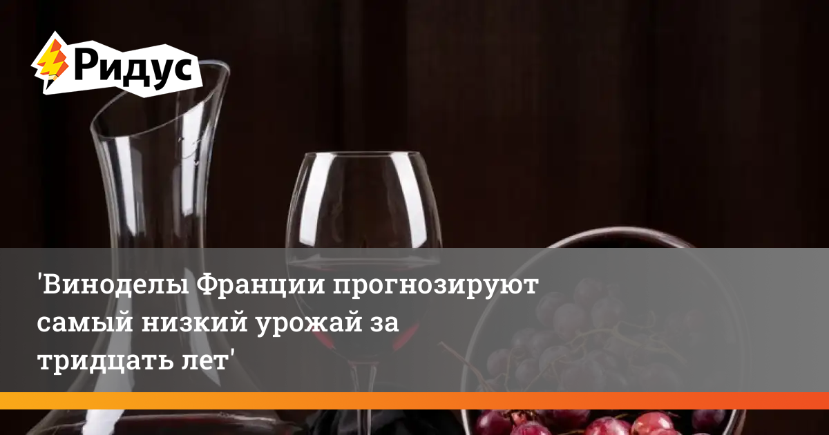 Виноделы Франции прогнозируют самый низкий урожай за тридцать лет