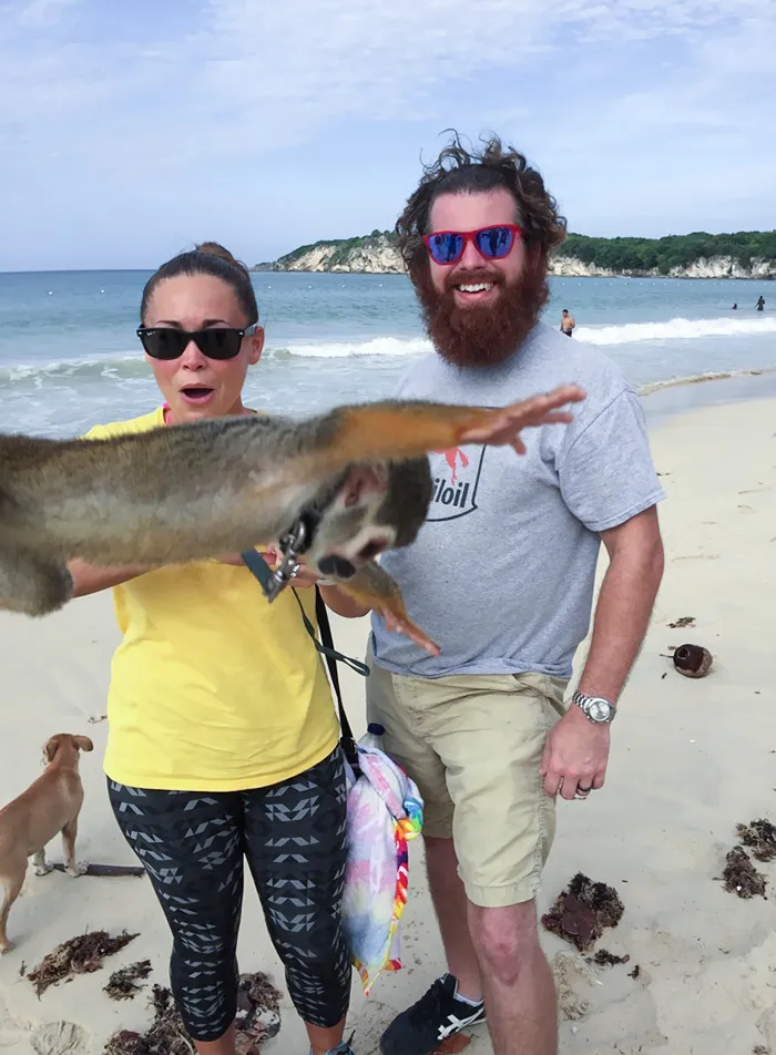 «Нас зафотобомбила обезьяна-паук во время отпуска в Доминиканской Республике».