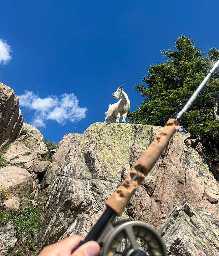 «Я поднялся на высоту 3000 футов к высокогорному озеру только для того, чтобы горный козел съел мою удочку».