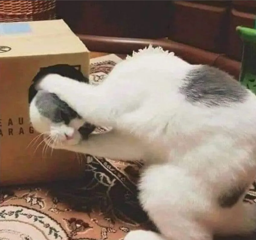 «Когда сменная голова наконец-то пришла по почте».